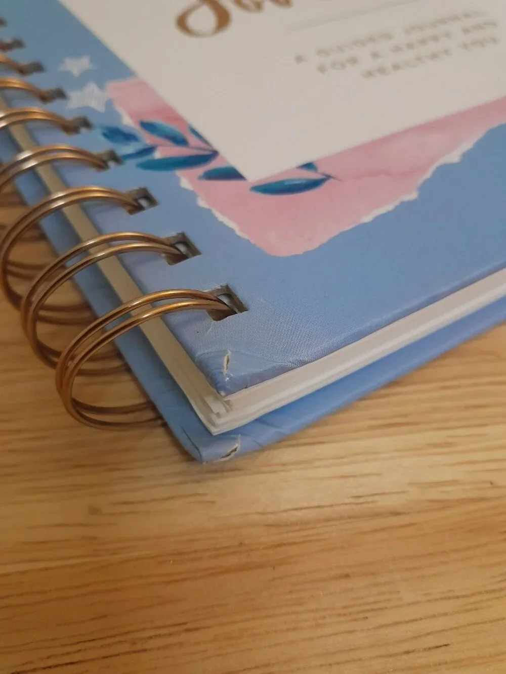 Self Care Journal by Clementine Paper Inc